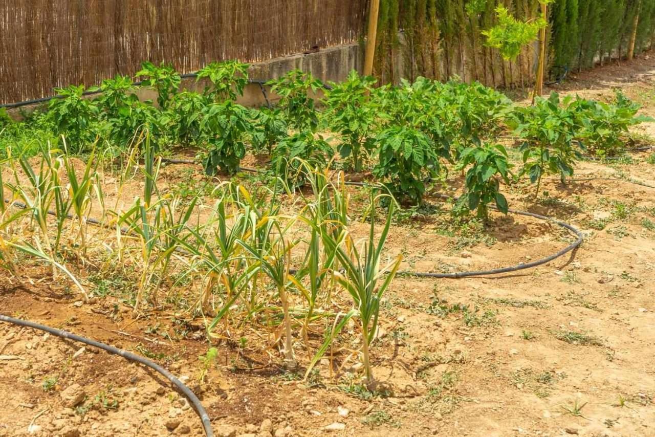 Casa Rural Don Lope El Canuelo  외부 사진